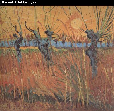 Vincent Van Gogh Willows at Sunset (nn04)